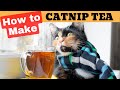 How to make catnip tea 