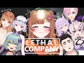 【 LETHAL COMPANY 】 kembali lagi dengan MOD baru 👀🔥