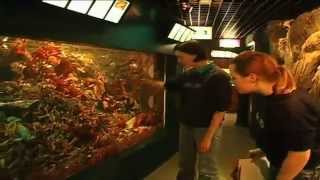 Exploris, Co.down, Northern Ireland