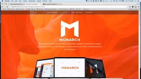 Case Study Child Theme For Divi