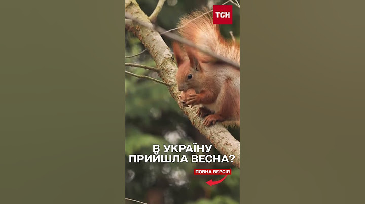 ЗИМОВЕ ПОТЕПЛІННЯ: погода в січні ШОКУЄ