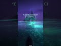 Oceania 2 | Recensioni Italiane