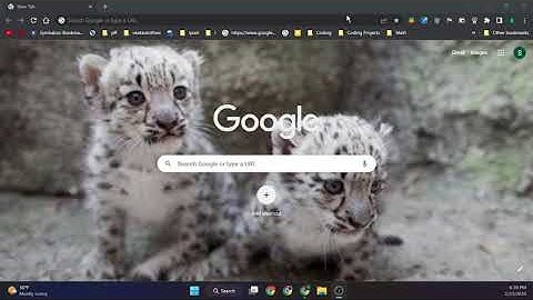 How to use Google Chrome