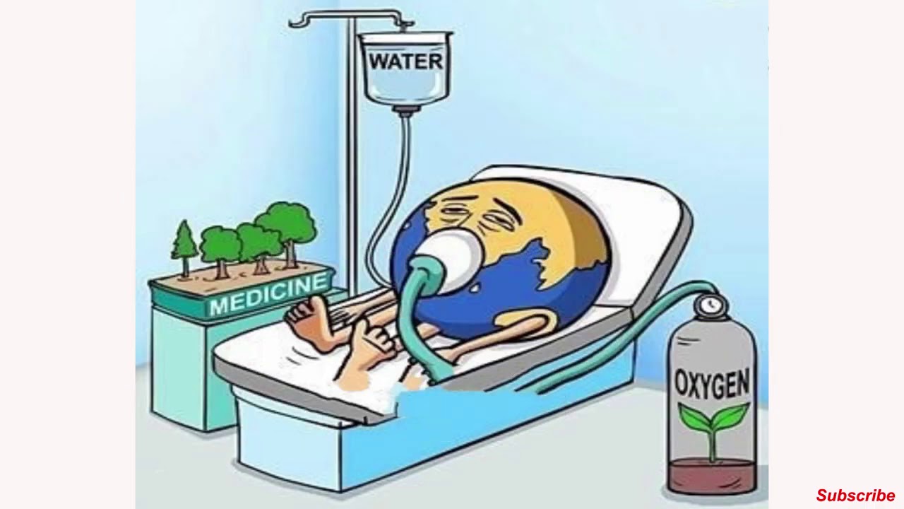 The Sad Reality Of Today s World One Picture Millions Words Today s
