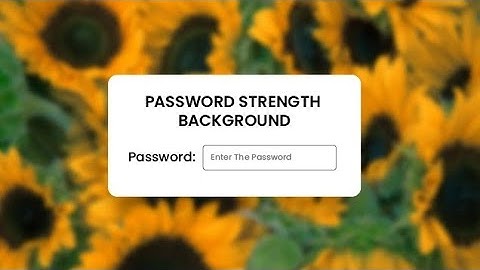 How To Create Interactive Password Strength Meter Using HTML , CSS & JavaScript (Day 24)
