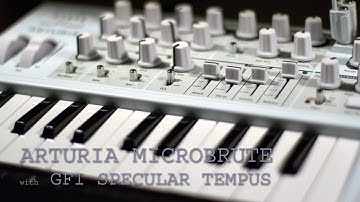 Microbrute | MOX8 | Specular Tempus // Session 6 - Ambient