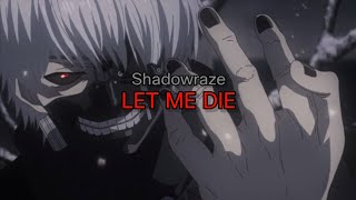 Shadowraze - LET ME DIE (lyrics/текст песни)