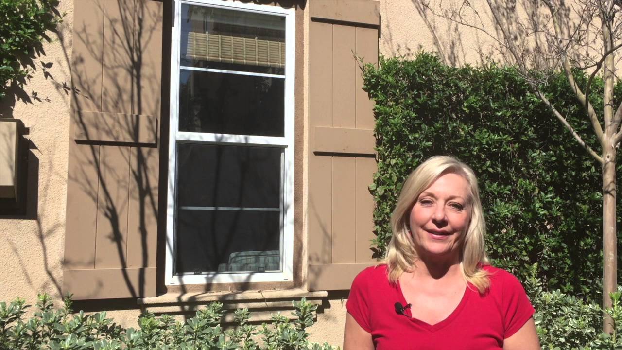 Windows and Feng Shui by Karen Rauch Carter