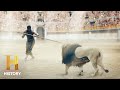 Beast Masters and Roman Games