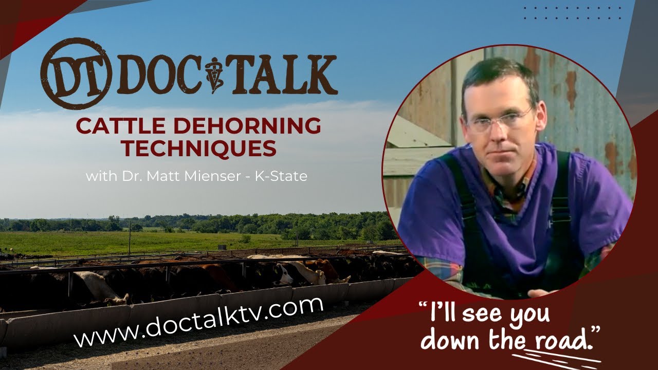 DocTalk Ep 86 - Cattle Dehorning Techniques