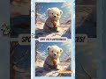 You Have 5 #find #spotthedifference #spotthedifference #findthedifference #shortsfeed