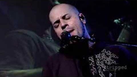 [stripped]Daughtry - It