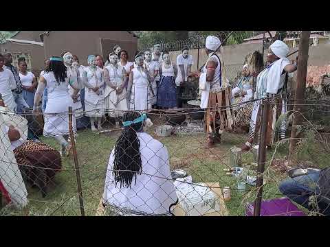 MATHAMBO -  Imvumakufa kwinkundla zaMagcina
