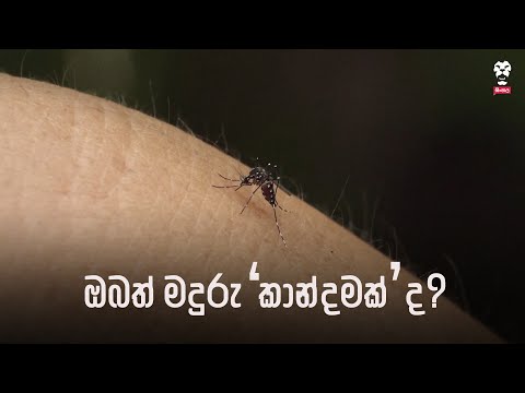 ඔබත් මදුරු ‘කාන්දමක්’ ද?