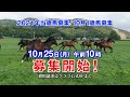 募集開始CM【2021年当歳馬募集/10月1歳馬募集】※♪有