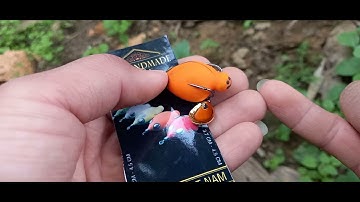 #F68s mồi giả nhái hơi câu cá lóc cực hót năm 2021