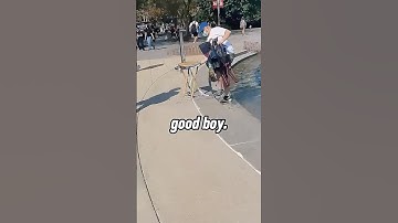 Angry Students Throw Man In Fountain For Disrespectful Message