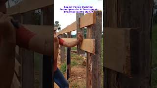 Expert Fence Building Techniques On A Traditional Brazilian Cattle Ranch