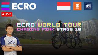 Racing the ECRO WORLD TOUR!!! - Chasing Pink Stage 10 - Temples and Towers, Slot 4