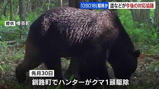 Hokkaido bear that attacked 66 cows, possibly 