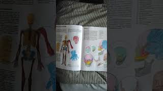 Here I colored in these human anatomy coloring pages.#shorts