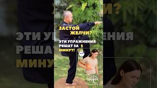 🔹 Застой желчи? Эти упражнения решат за 5 минут! #здоровье #цигун #восточнаямедицина