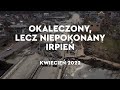 Okaleczony, lecz niepokonany IRPIEŃ