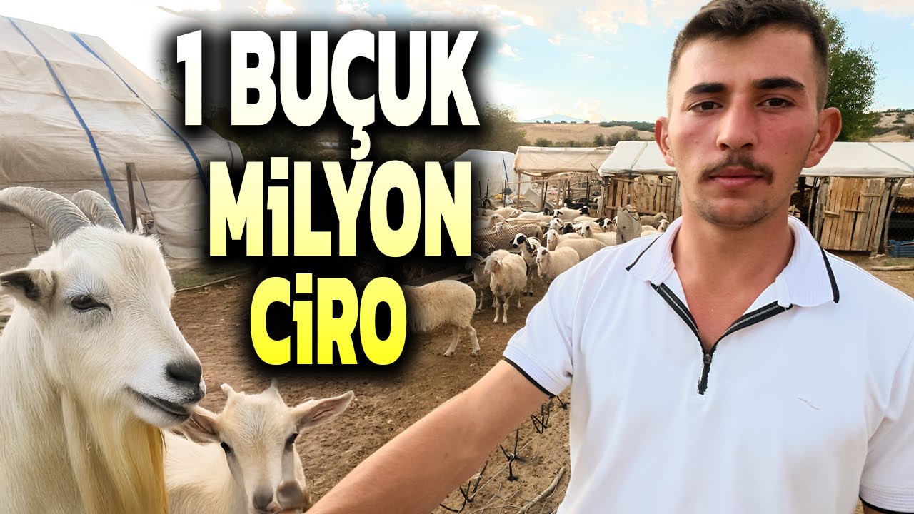 “Özel Sektörde Çalışmam!” Diyen Gencin Azim Dolu Hayatı - Hedef Bin Küçükbaş Hayvan