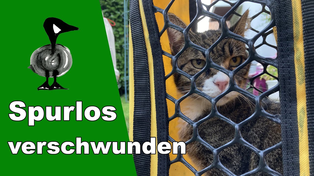 Spurlos verschwunden... Diese Katze ist nicht tot - Tiernotruf #306