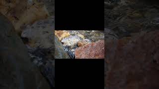 #landslide #godzilla RIVER WATER RELAX #automobile #explosion #eldenring #simulation #fireworks