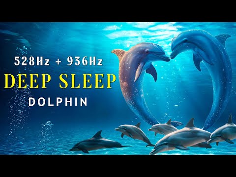 528hz 936hz Healing Dolphin Singing For Energy Restoration Stress Relief And Deep Sleep 528hz 936hz Healing Dolphin Singing For Energy Restoration Stress Relief And Deep Sleep