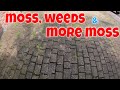 FILTHY, WEEDY, MOSS FILLED Driveway Gets The "PRESTIGE" Treatment | Pressure Washed & Soft Washed！
