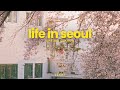 seoul vlog 🌸| cherry blossom cafe, rent a bike, seoul in spring