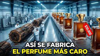 ¡EL PERFUME MÁS CARO DEL MUNDO! De ÁRBOL ENFERMO a 30.000 Dólares | Proceso de Producción Completo