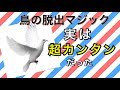 【たねあかし】鳥の脱出マジック！イリュージョン！子供でも簡単！#018