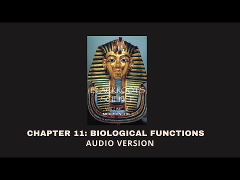Chapter 11: Biological Functions - Blackroots Science Vol. 2