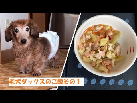 老犬がドッグフード食べないので手作りご飯です ミニチュアダックス カニンヘンダックス 老犬ダックス Youtube 老犬がドッグフード食べないので手作りご飯です ミニチュアダックス カニンヘンダックス 老犬ダックス Youtube