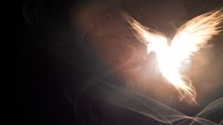 Preghiera allo Spirito Santo nel Divin Volere