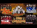 Los Huracanes, Cardenales, Los Tigres Del Norte, Los Terribles, Exterminador Corridos Mix 2022