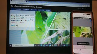 Corn Rootworm Trap Network - Mobile Device Demo screenshot 5