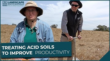 Treating acid soils to improve productivity