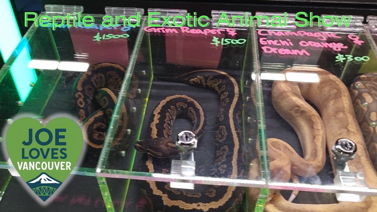 The Reptile and Exotic Animals Show - Clark Co. Events Center