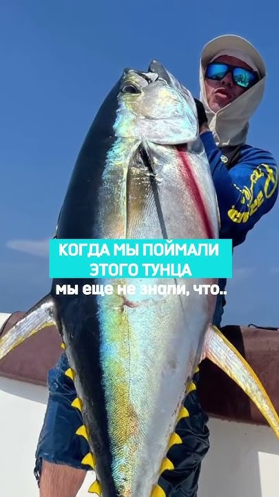 Вот это улов! На100ящая рыбалка на Мальдивах с Михаилом Карповичем # ...