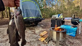 Truck Tent Camping Deep In The Mountains! {Catch Cook Camp}