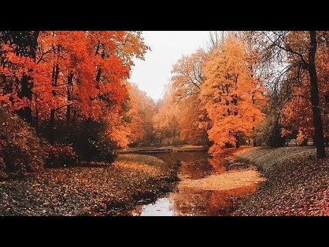    2021 اجمل منوعات اغاني كردية بصوت زياد حسو