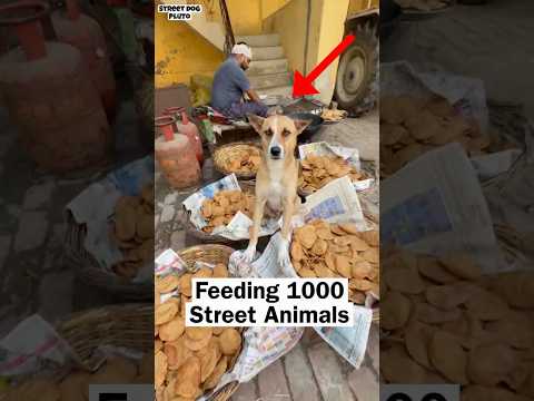 Pluto Birthday Boy ❤️