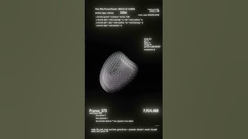 1333 cubes 999 frames