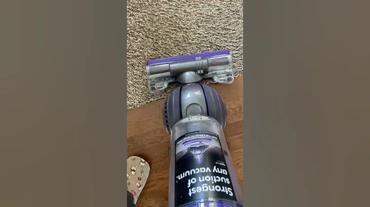Dyson animal 2 trouble