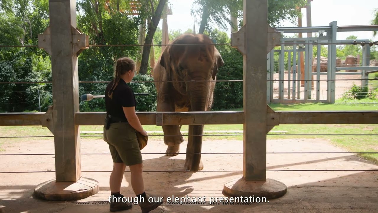 Round Up for Conservation - The Sri Lanka Elephant Project
