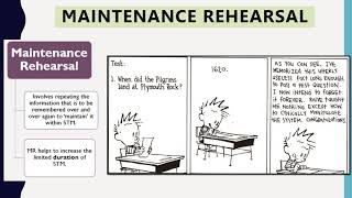 Context & State Dependent Cues, Maintenance & Elaborative Rehearsal and Serial Position Effect